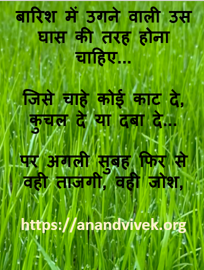 घास: नई ऊर्जा और फिर से उभरने का संदेश grass